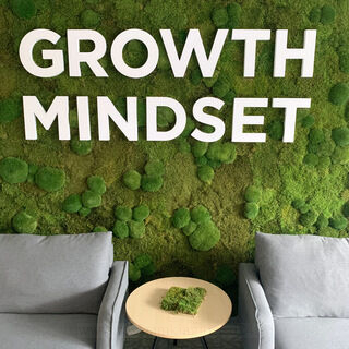 Seinalogo - Growth Mindset
